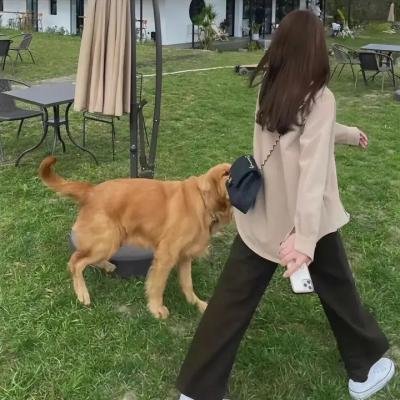塞尔玛游行